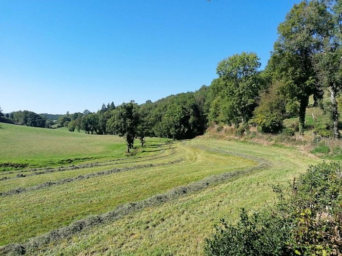 Le long du chemin