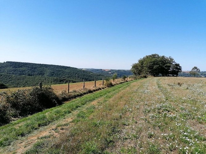 En chemin