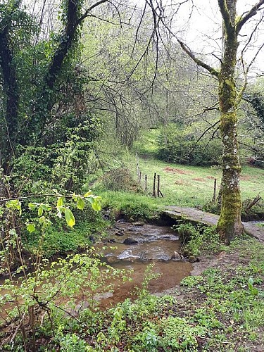 Ruisseau sur le sentier du Carrierou