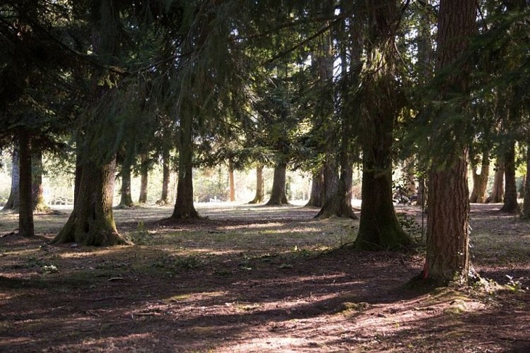Sentier de découverte de la forêt de Sérénac
