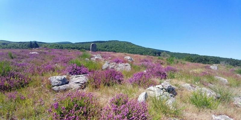 Vue générale