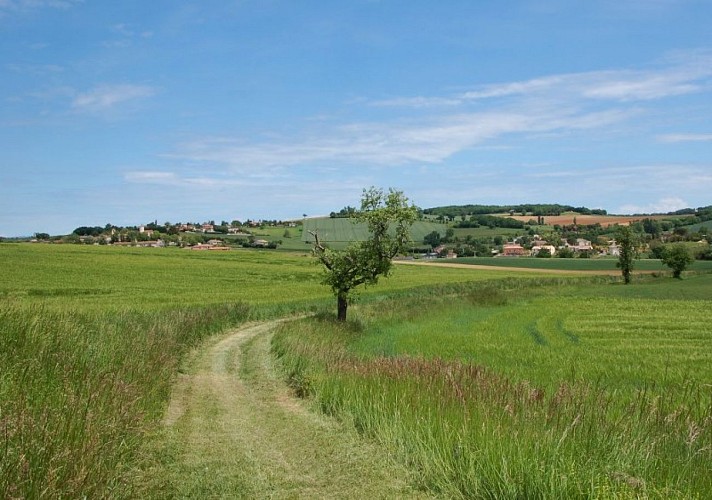 Le paysage s'ouvre sur le village de Rouffiac et la tour de l'école (vestige de l'ancien chateau).