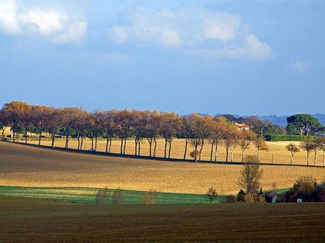 campagne Belcastel