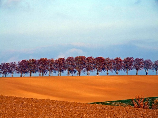 campagne Belcastel