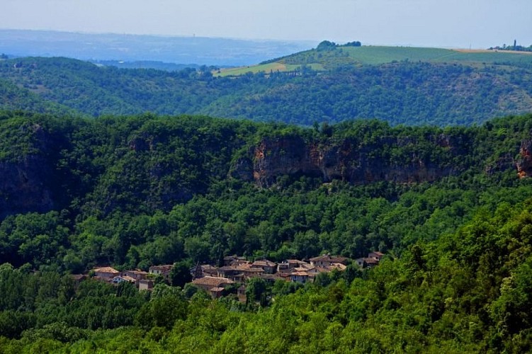 vue aerienne de Larroque