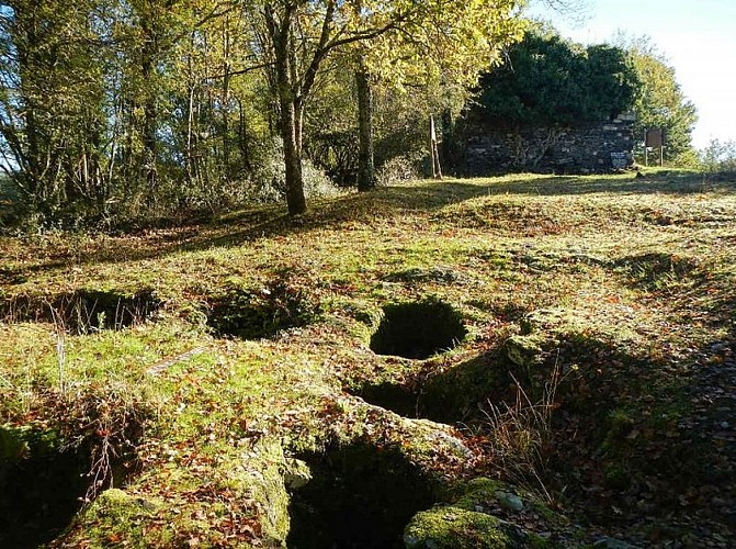 cuves de Sainte Juliane