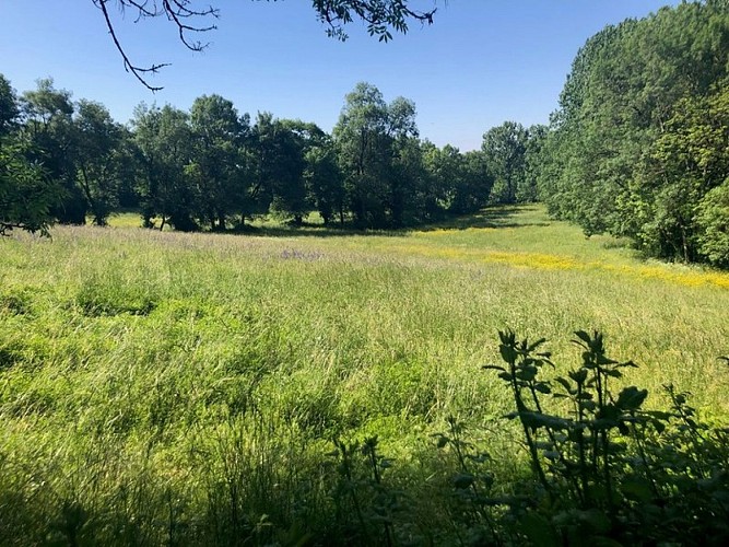 Sentier des Coteaux