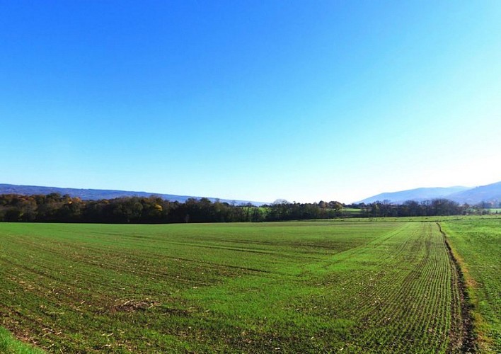 Campagne d'Aiguefonde
