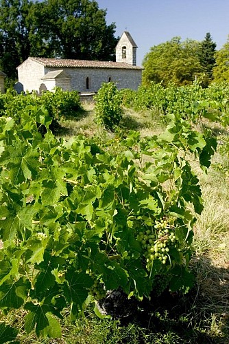 Chapelle dans les vignes
