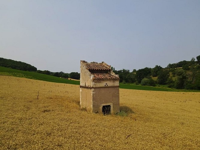 Roman Trail