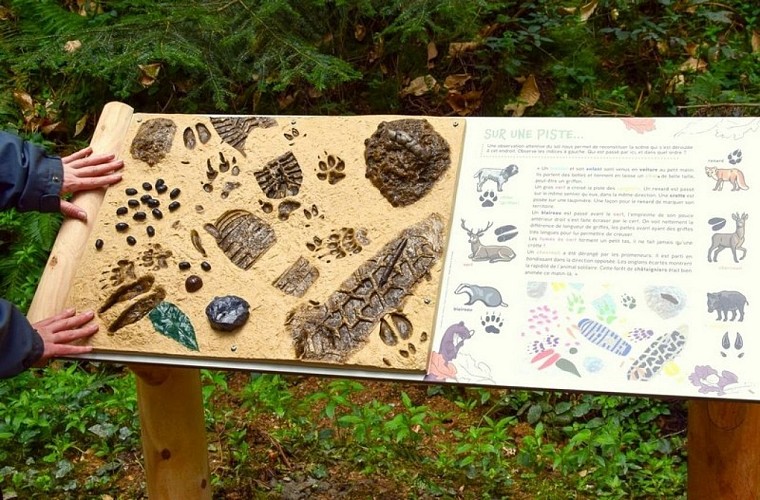 panneau pédagogique sur le sentier des trésors de la Nature