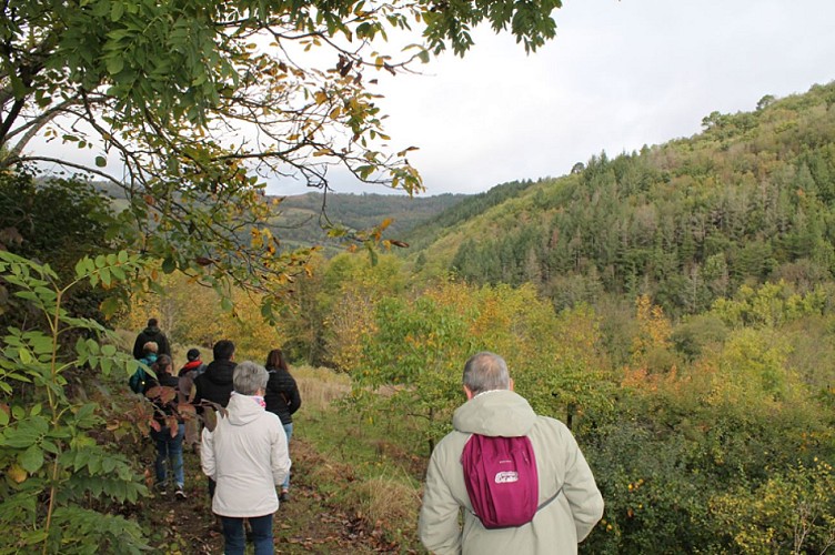 Descente vers le ruisseau des Oules