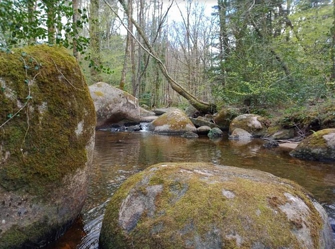 la rivière du Lignon et le début du chaos de la Resse
