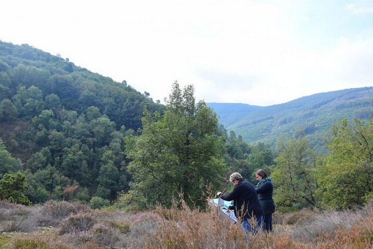 panorama des Labans
