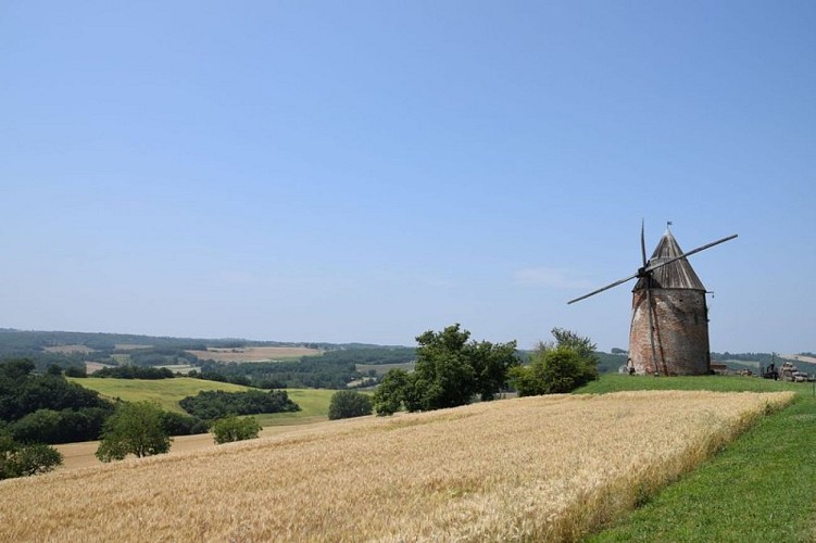 Rabastens - Moulin de la Prune