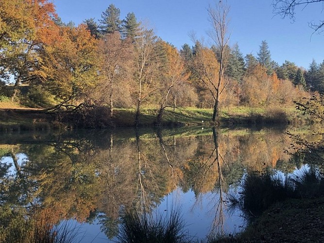 Rabastens - Lac des Auzerals