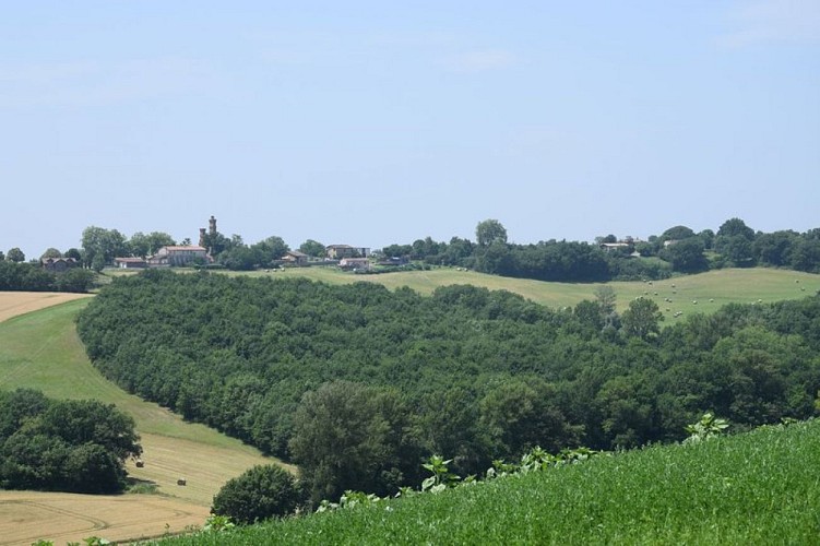 Rabastens - Vallons & Forêts