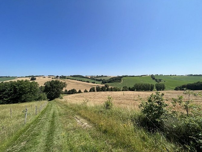 Rabastens - Vallons & Forêts