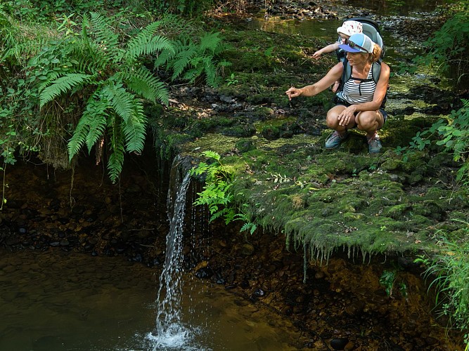 Ger randonnée pédestre bois de Poey (3)