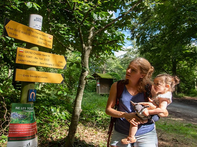 Lucgarier randonnée pédestre ruisseau de Garue (3)