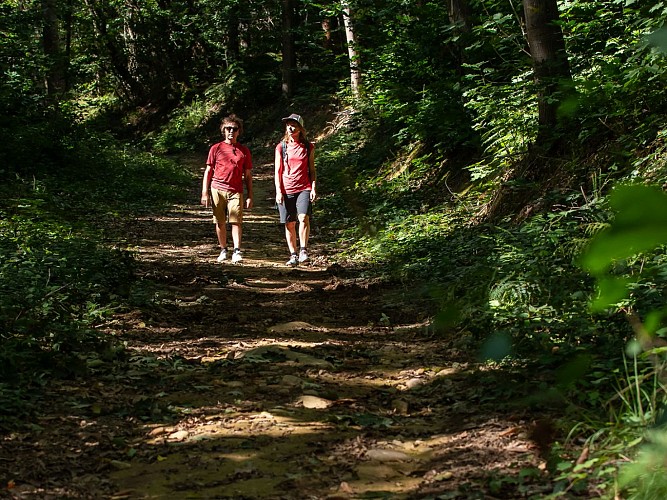 Barzun bois de debeze © Cecile Munsch Peio Gaillard (3)