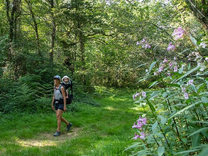 Ger tourbière du Manas © Cécile Munsch Peio Gaillard (1)