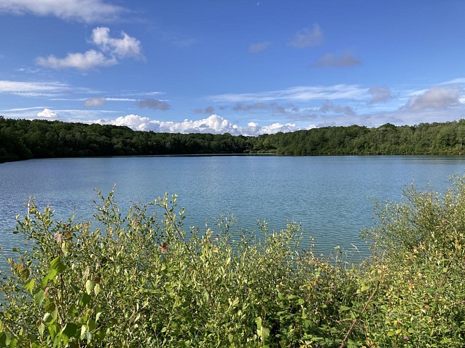 Ger bois de Poey © Cécile Munsch Peio Gaillard (15)