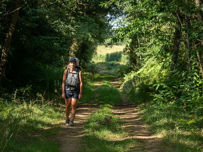 Ger bois de Poey © Cécile Munsch Peio Gaillard (4)