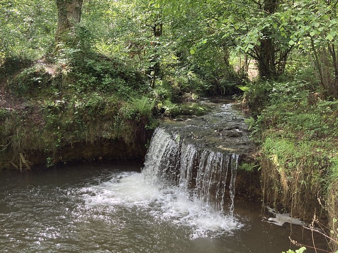 Ger bois de Poey © Cécile Munsch Peio Gaillard (16)