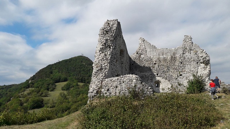 Ruines du Château de Chaumont