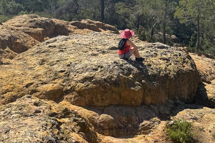 Dalle de grès de Pié Bousquet à Roussillon