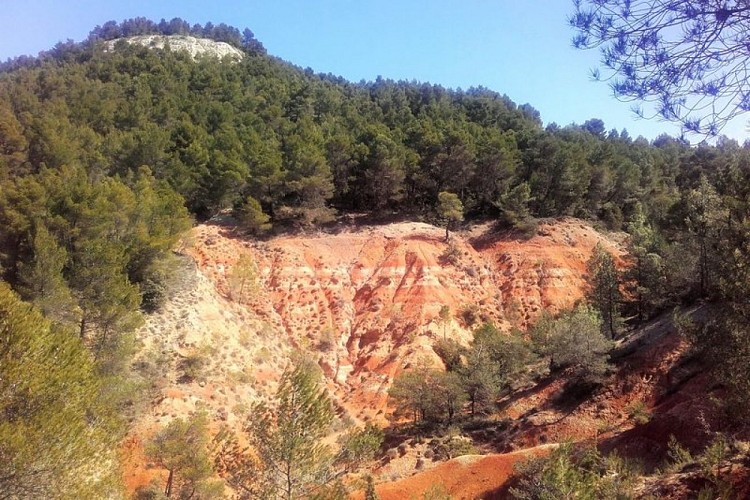 Colline de Perréal à Gargas
