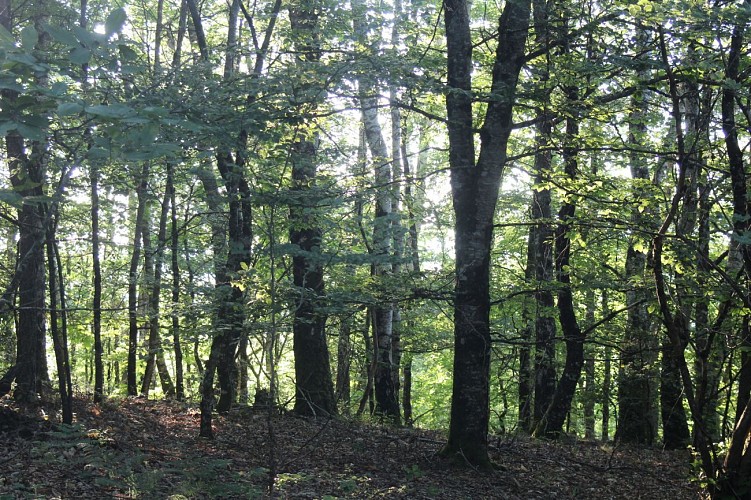 PR Longairoux - 6 kms
