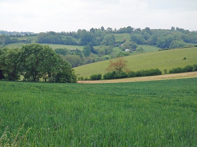 Paysage
