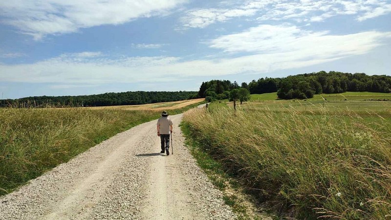 Montée de la Pouilleuse | Longchamps sur Aire