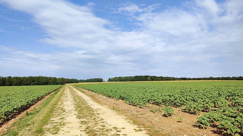 Plaimont | Longchamps sur Aire