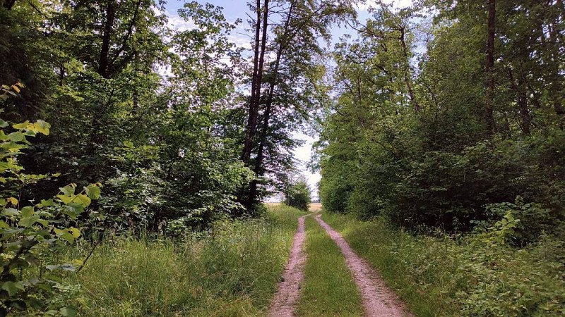 La vallée Bichet | Longchamps sur Aire