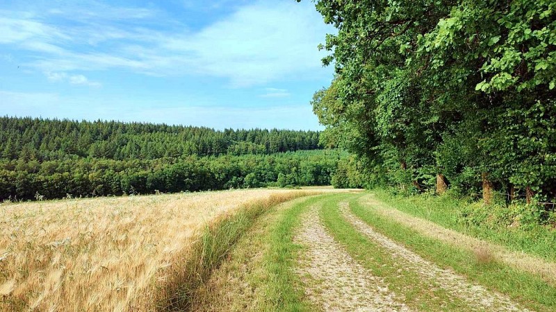 Desccente vers Rouval | Longchamps sur Aire