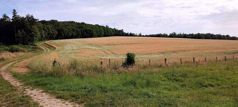 Rouval | Longchamps sur Aire