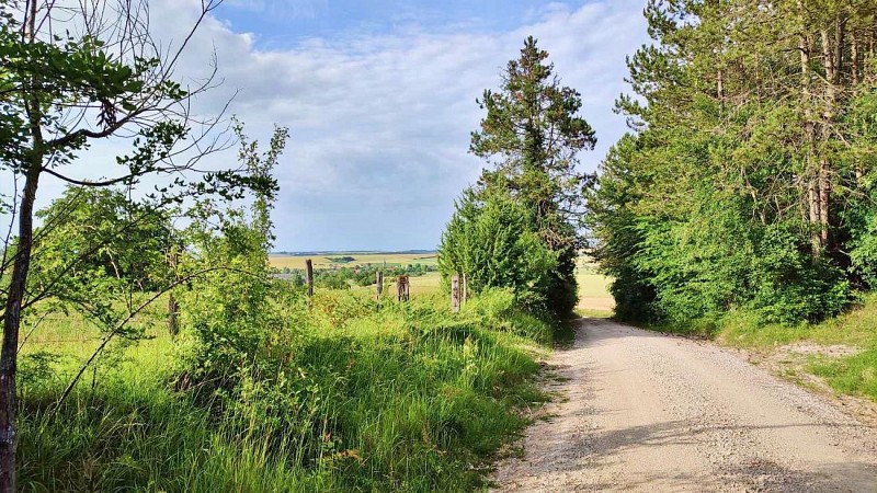 Retour vers le village | Longchamps sur Aire