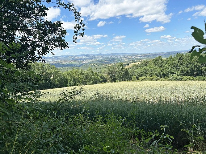 Vue sur les Monts du Lyonnais