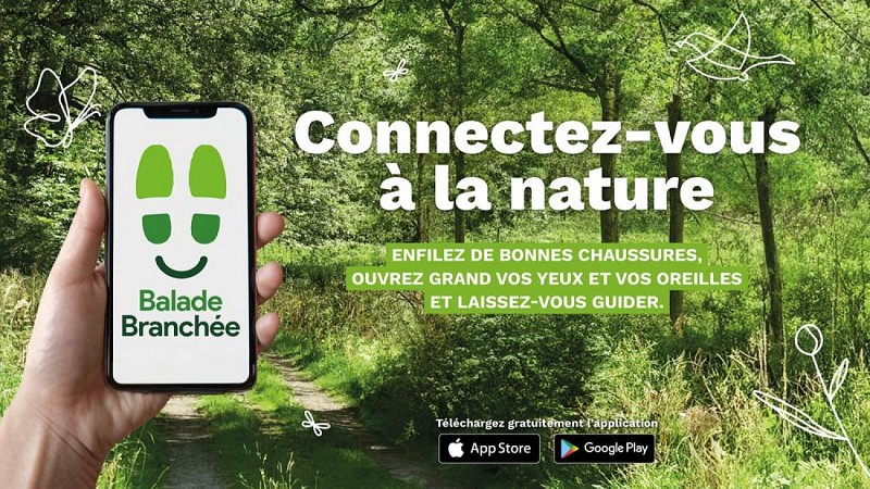 Balade branchée