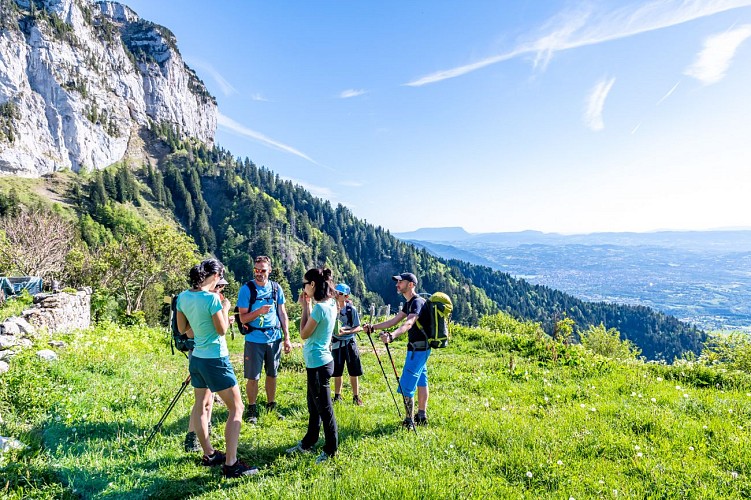 La Tête du Parmelan depuis Bois Brûlé
