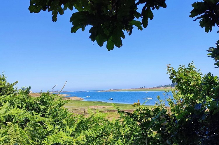 L'estuaire du Jaudy à marée base