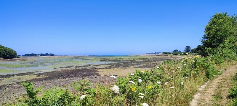 L'estuaire du Jaudy à marée base