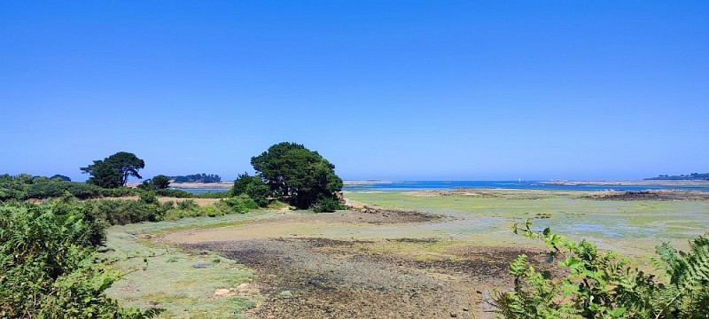 L'estuaire du Jaudy à marée base