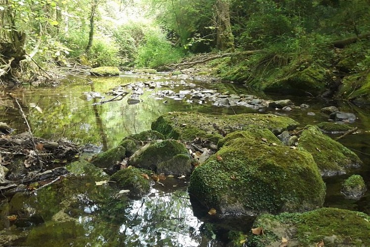 Les sources de l'Aiguebrun