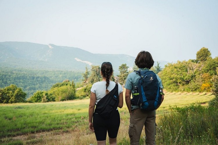 Lisière des Claparèdes et Grand Luberon