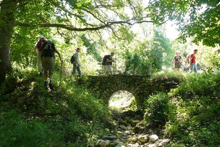 Vallon de l'Aiguebrun