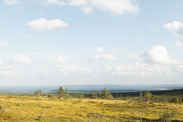 Rando de Riisin Rietas dans le parc national de Riisitunturi en Laponie finlandaise